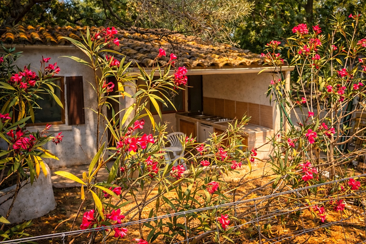location bungalow climatise balagne