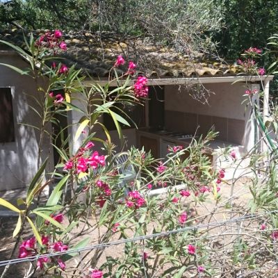 location bungalow climatise jardin camping balanea 2024 2
