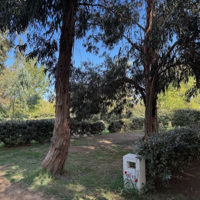 camping balanea balagne 2026 34