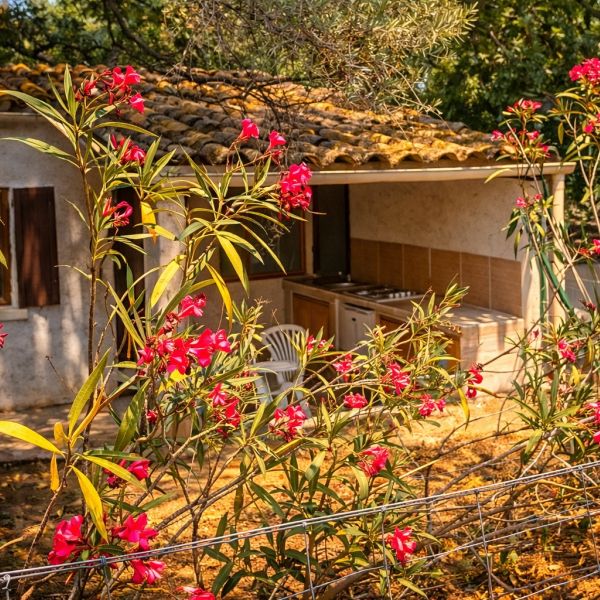 location bungalow climatise balagne
